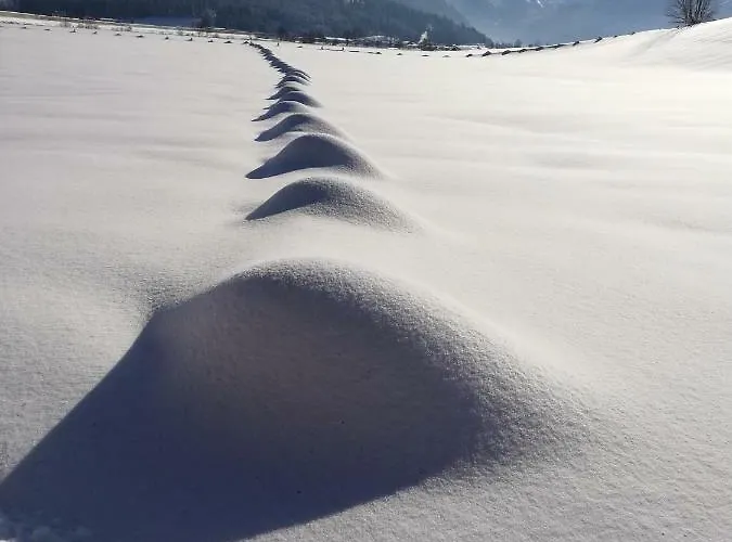 Oberfischergut شقة فلاخاو